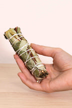 Atado de Eucalipto - Armonía y renovación