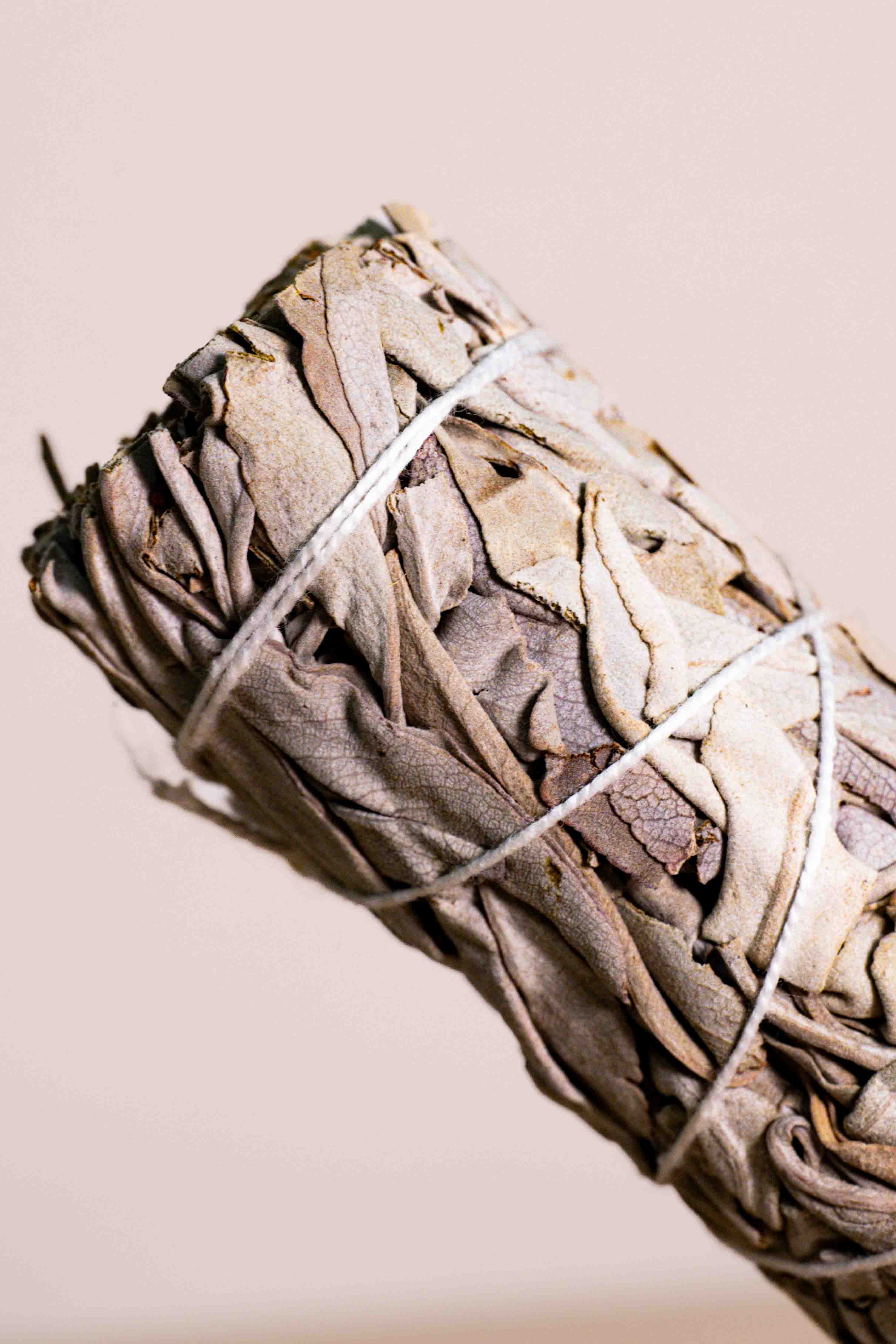 Atado de Salvia Blanca - Limpieza y Purificación