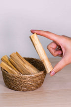 Palo Santo - Madera Sagrada de Limpieza y Purificación