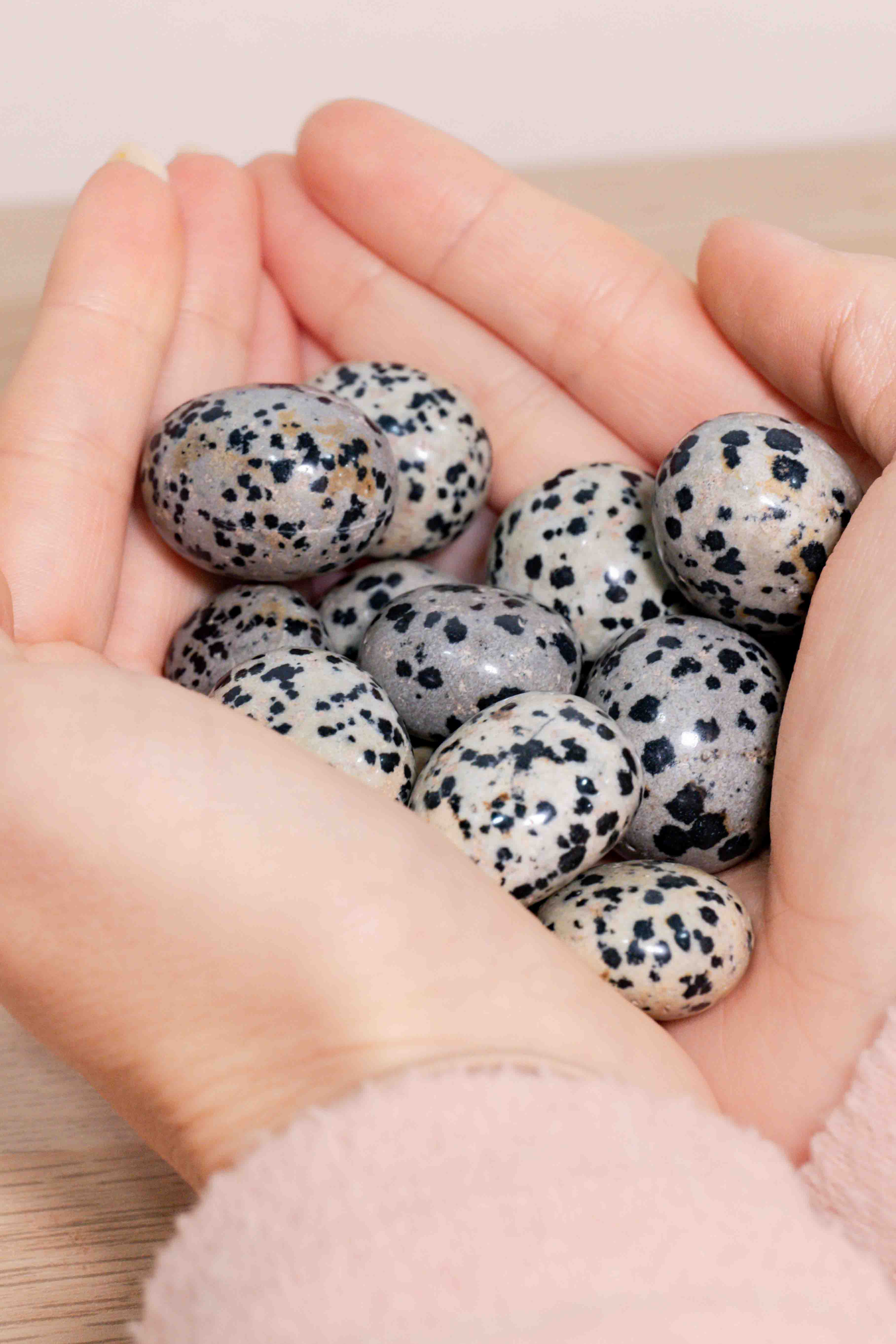 Rodado Jaspe Dálmata - Calidad A