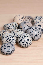 Rodado Jaspe Dálmata - Calidad A