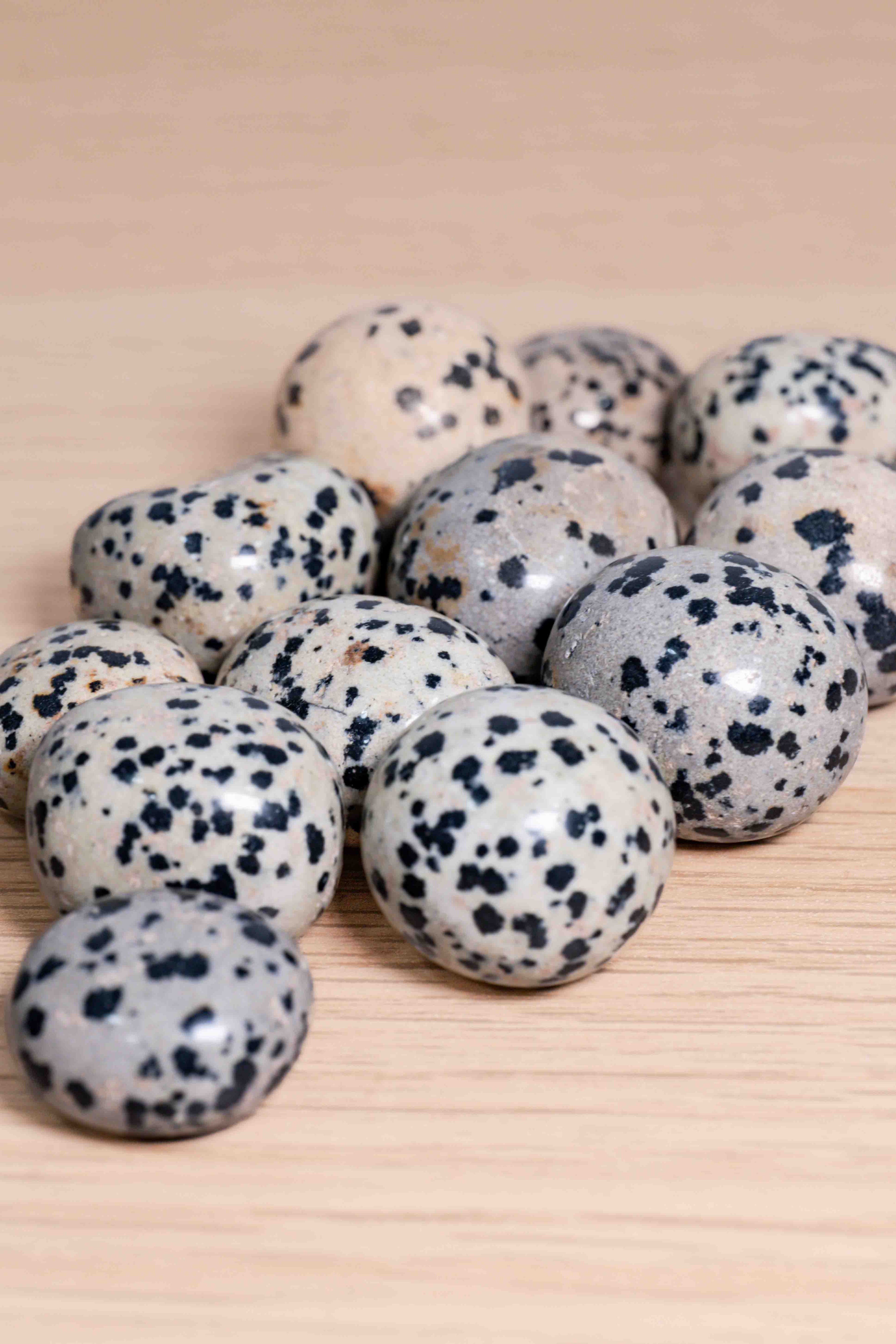 Rodado Jaspe Dálmata - Calidad A