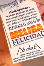 Vela Artesanal Melisa - Felicidad